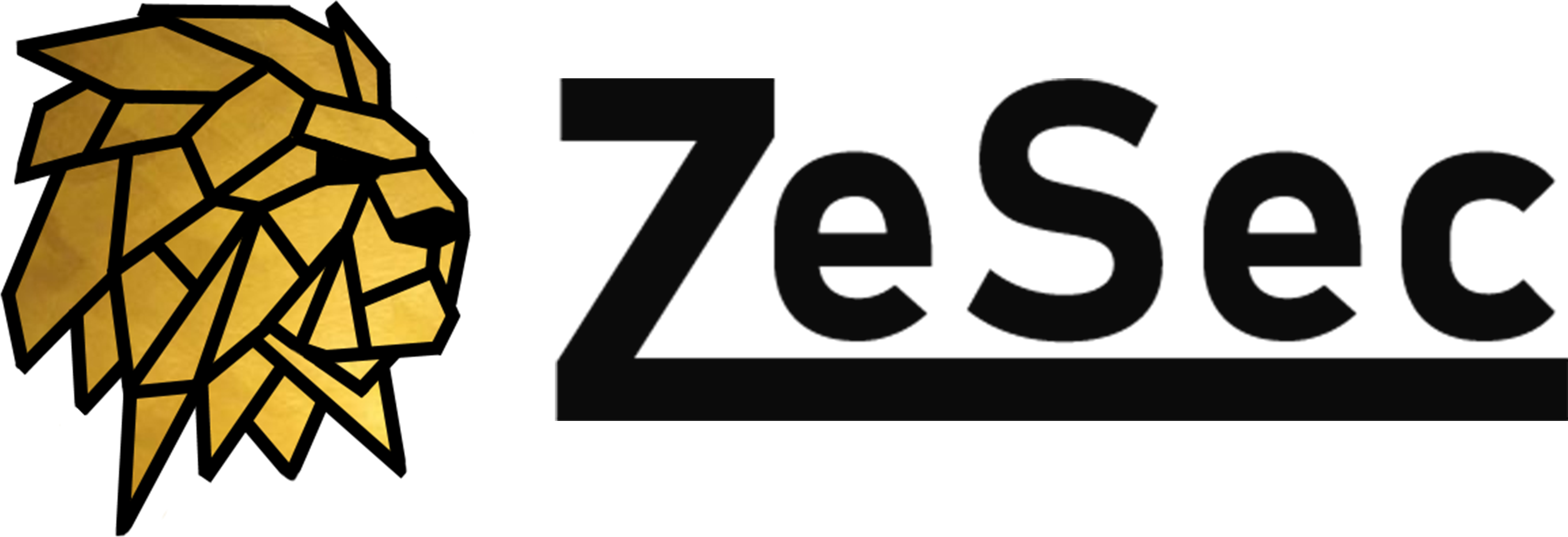 ZeSec Solution GmbH